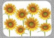 click here to see placemat