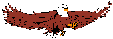 soaring eagle